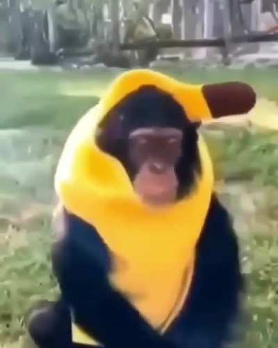 por que me grita&iquest;&iquest;!&iquest;!?!1?!2
