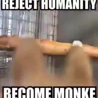Here's some free LibCenter propaganda