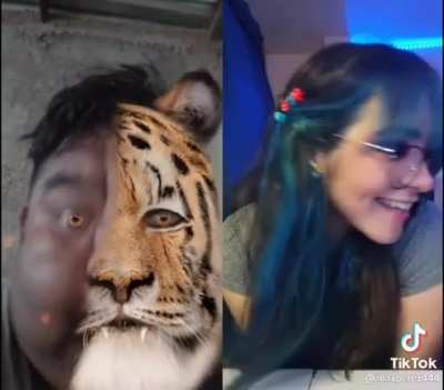 😡🐯