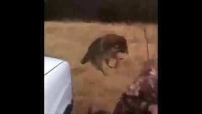 &iquest;