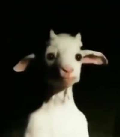 omg is that asriel dremuur from undertale in real lifeeee?