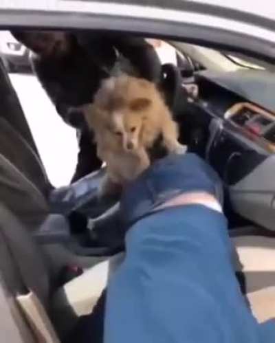 Some people are just afraid of dogs 🐕