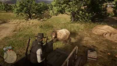 "These poor creatures have done nothing to you"