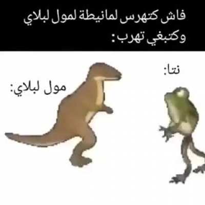 &iquest;&yen;