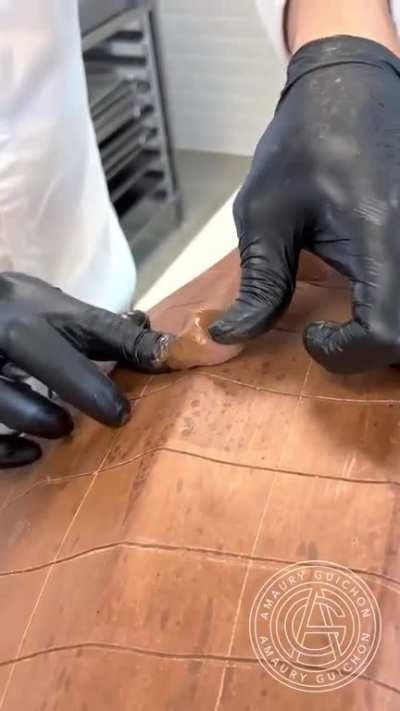 Chocolate Crocodile