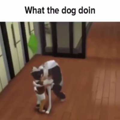 What is he doin