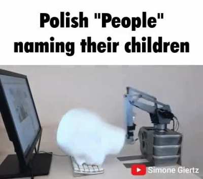 why yes, my kids name is "mysz komputerowa dla graczy" how could you tell?