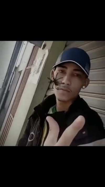 q v&iacute;deo bom