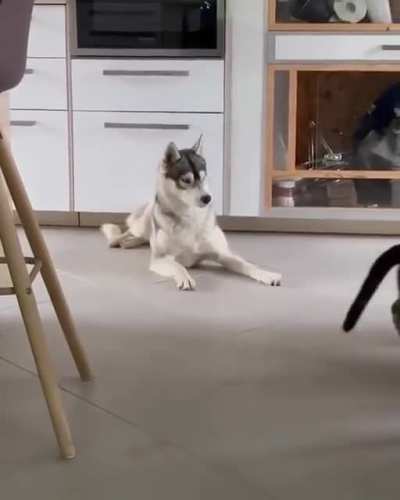 I just wanted to take a nap.