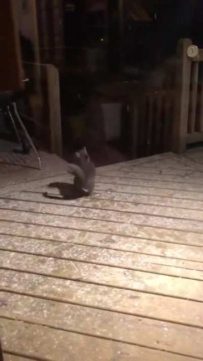 Catching snowflakes