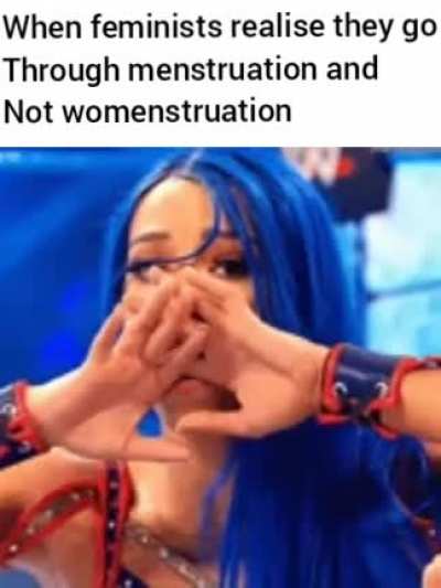 A normal feminists post