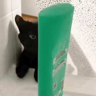 I HATE shampoo
