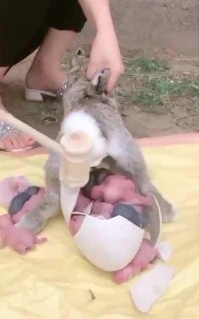 Да ну нах.....!