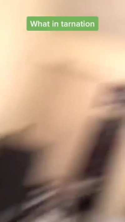 &bull;.&deg;