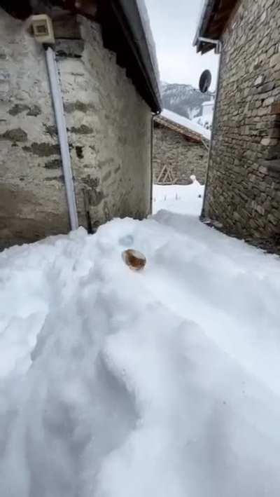your delivery has arrived.