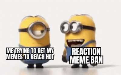 Why you bully me