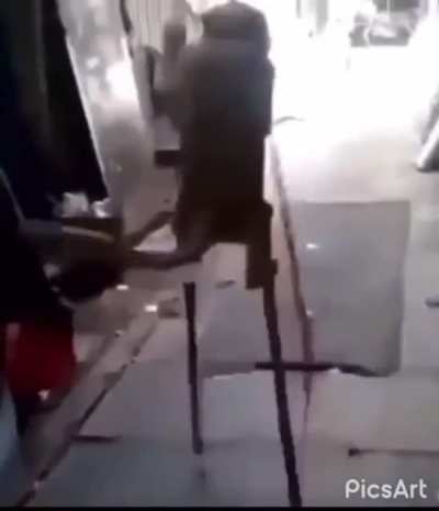 Drunk monkey!!