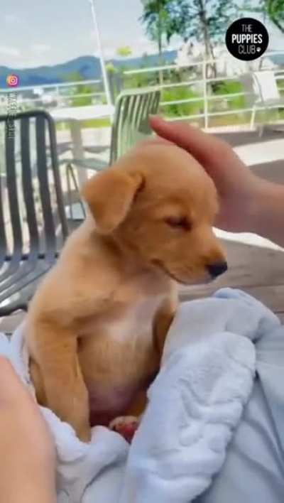 The goodest of boys