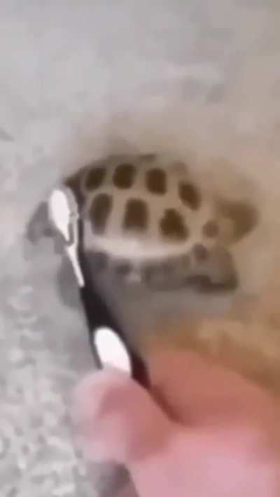 Isso ou um canudo