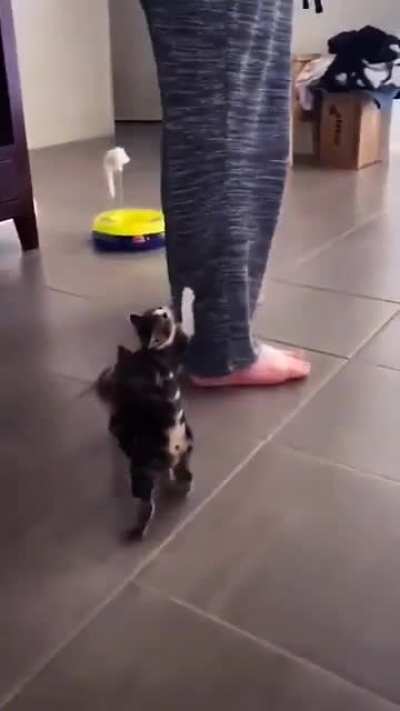 N&atilde;o me deixe, n&atilde;o se v&aacute;, n&atilde;o me abandone...
