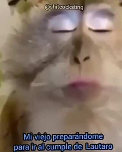 😎