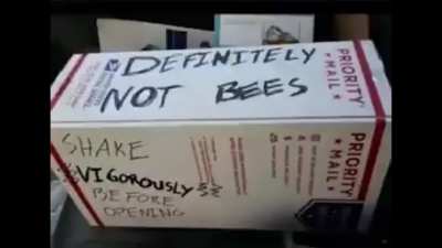 Hmm&hellip; I wonder what&rsquo;s in that box&hellip;