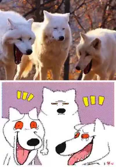 Laugh_irl