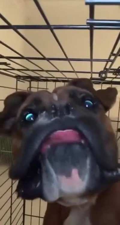 I'm terrified