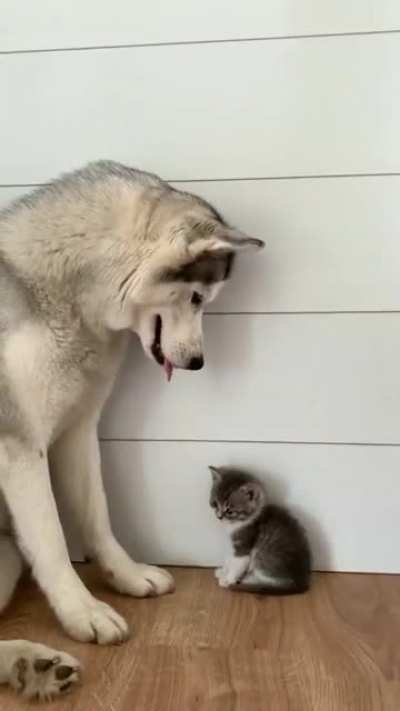 Amazing friendship ❤️❤️