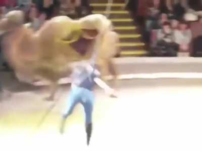 HMC while I entertain the crowd.
