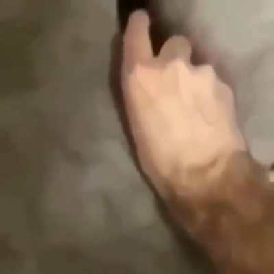 AMINI SIKTIGIM UYAN LA UYAN