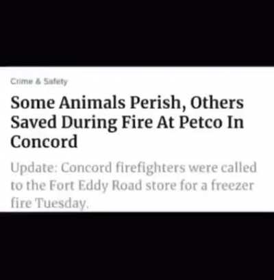 The pyromancer