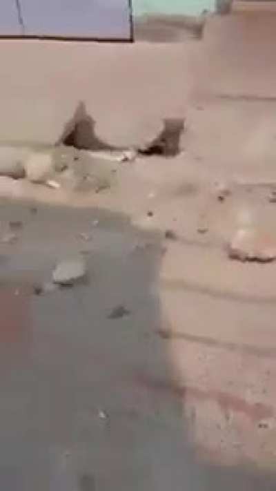 A gentleman speaks: I'm completely anti BJP, I'm completely against Hindu-Muslim division.But today Islamists bearing TMC flags broke my house. This is Islamic majority area &amp;amp; I might have to flee. Even Hindu TMC couldn't stop their party brethren