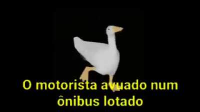 O Zonibu Vai Derrapa