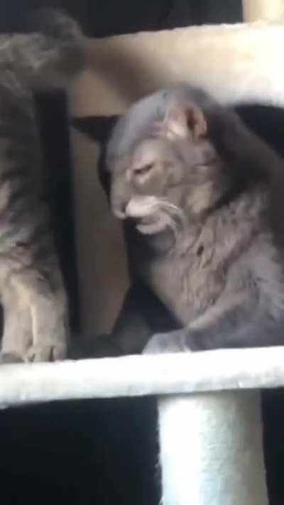 Face of absolute regret.