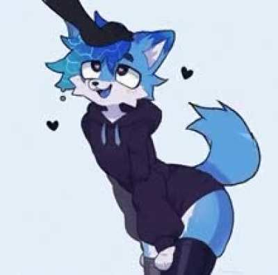 furry_irl