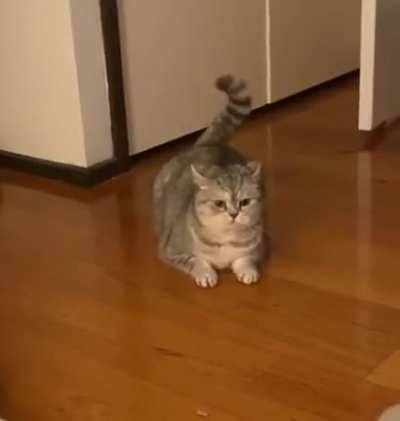 Something behind me