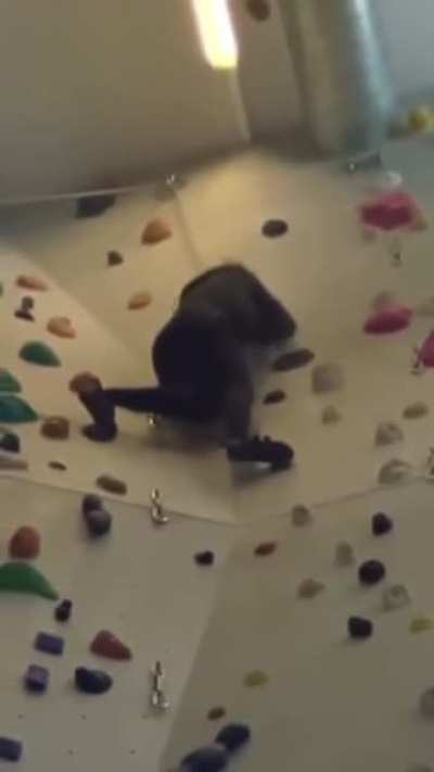 Palina klettert