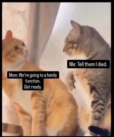 That&rsquo;s so me😂