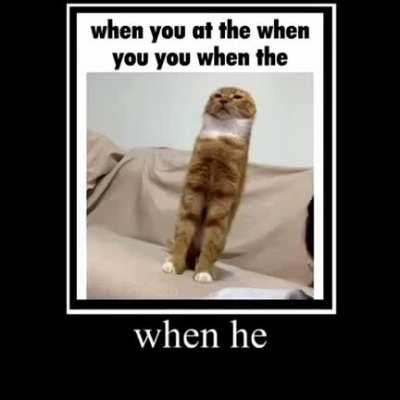when he when the
