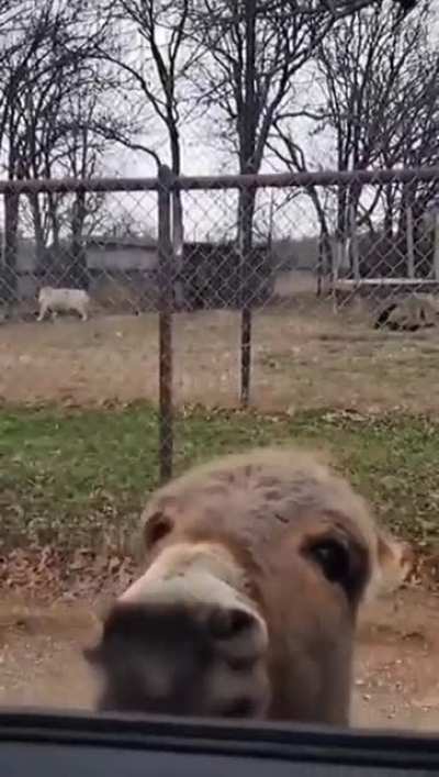 How yall doing today?