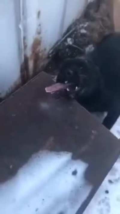 Опять!!!