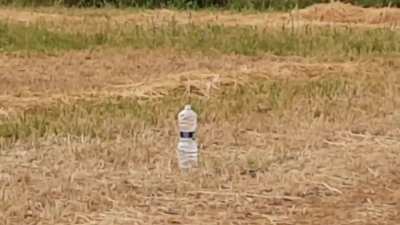 Just a normal field