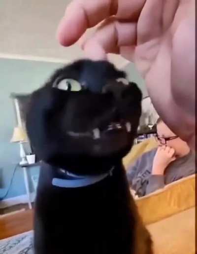 Scrungus