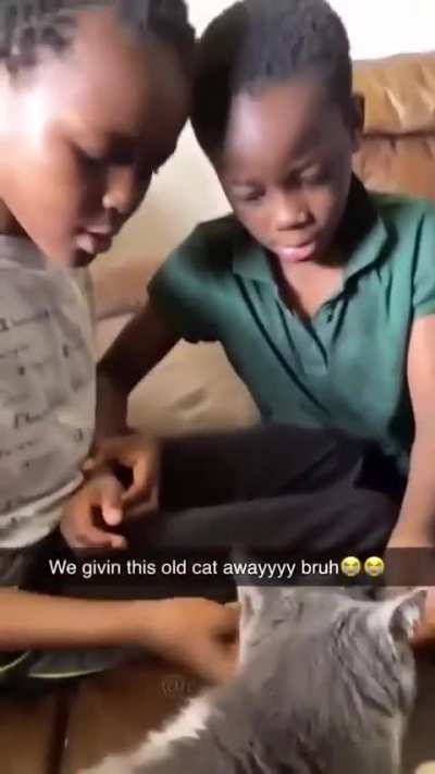 ☑️ 