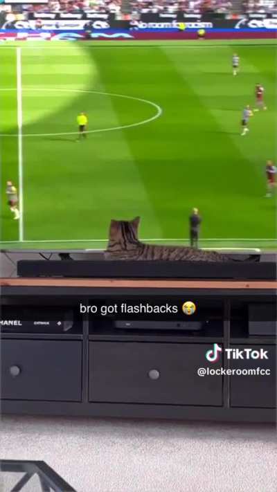 if you know you know (not my vid)