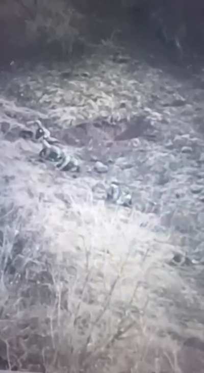 video showing wagner assault group trying to advance while being targeted/hit by Ukrainian artillery as well one of them stepping on a anti-personnel mine on the outskirts of Soledar.