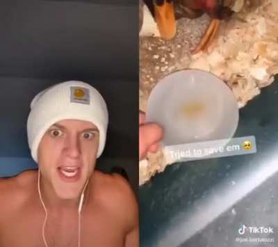 Poor ducks :(