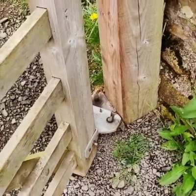 rising gate hinge
