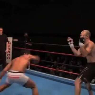 Capoeira kick